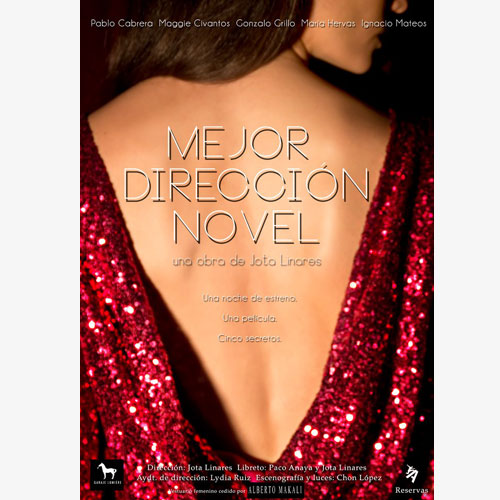 Mejor dirección novel